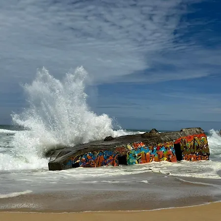 Au Calme - 3 Etoiles * Капбретон